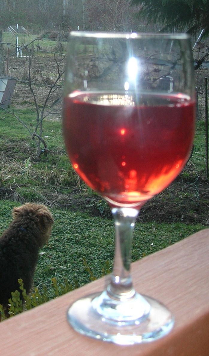 Heron Pond: First Glass of my Viento Red