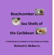 Book Cover Shells Front-1