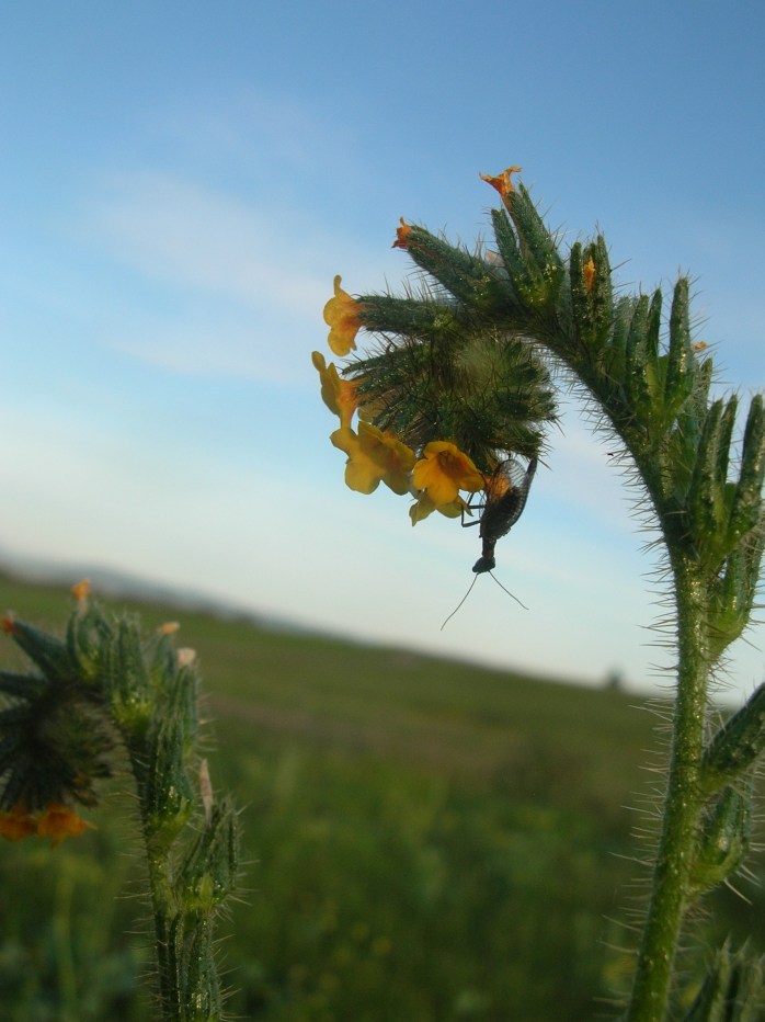 What's Up Doc? It's How you view the world that makes it appear as it does!