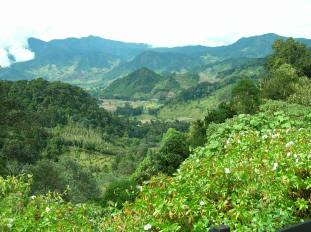 Hike into Waterfall-panama Dec 05 027