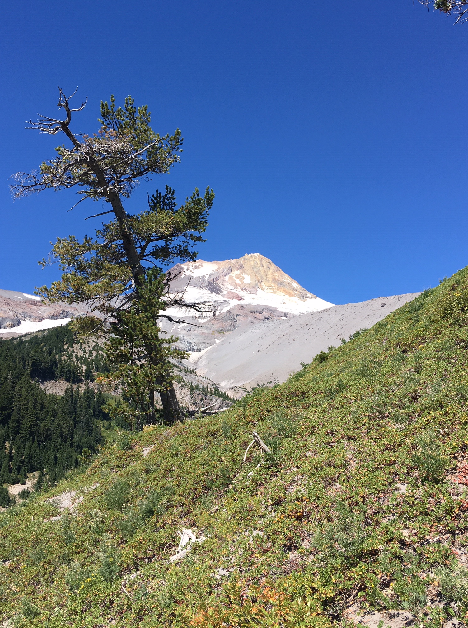 4. Farther up the N. side slope of Heather canyon